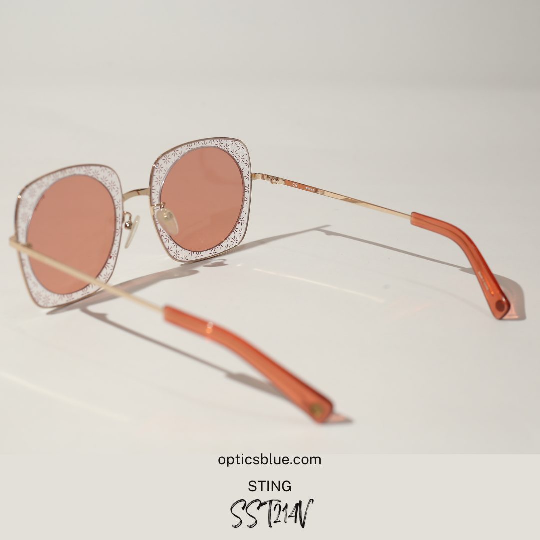 STING - Image 5